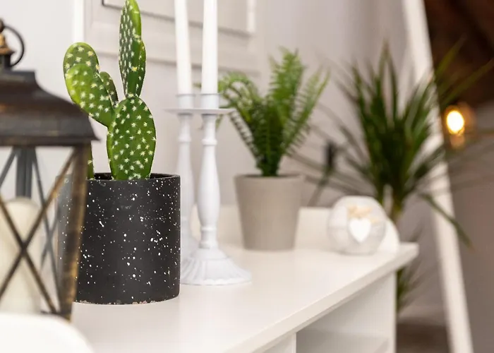 Lotza Traditional House Holiday home Salakos