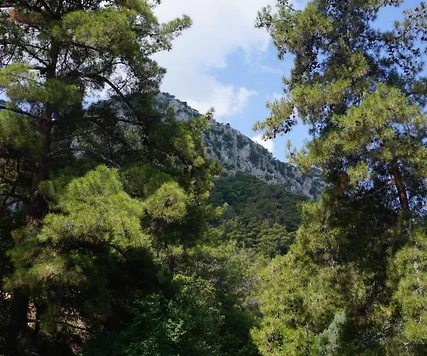 Lotza Traditional House